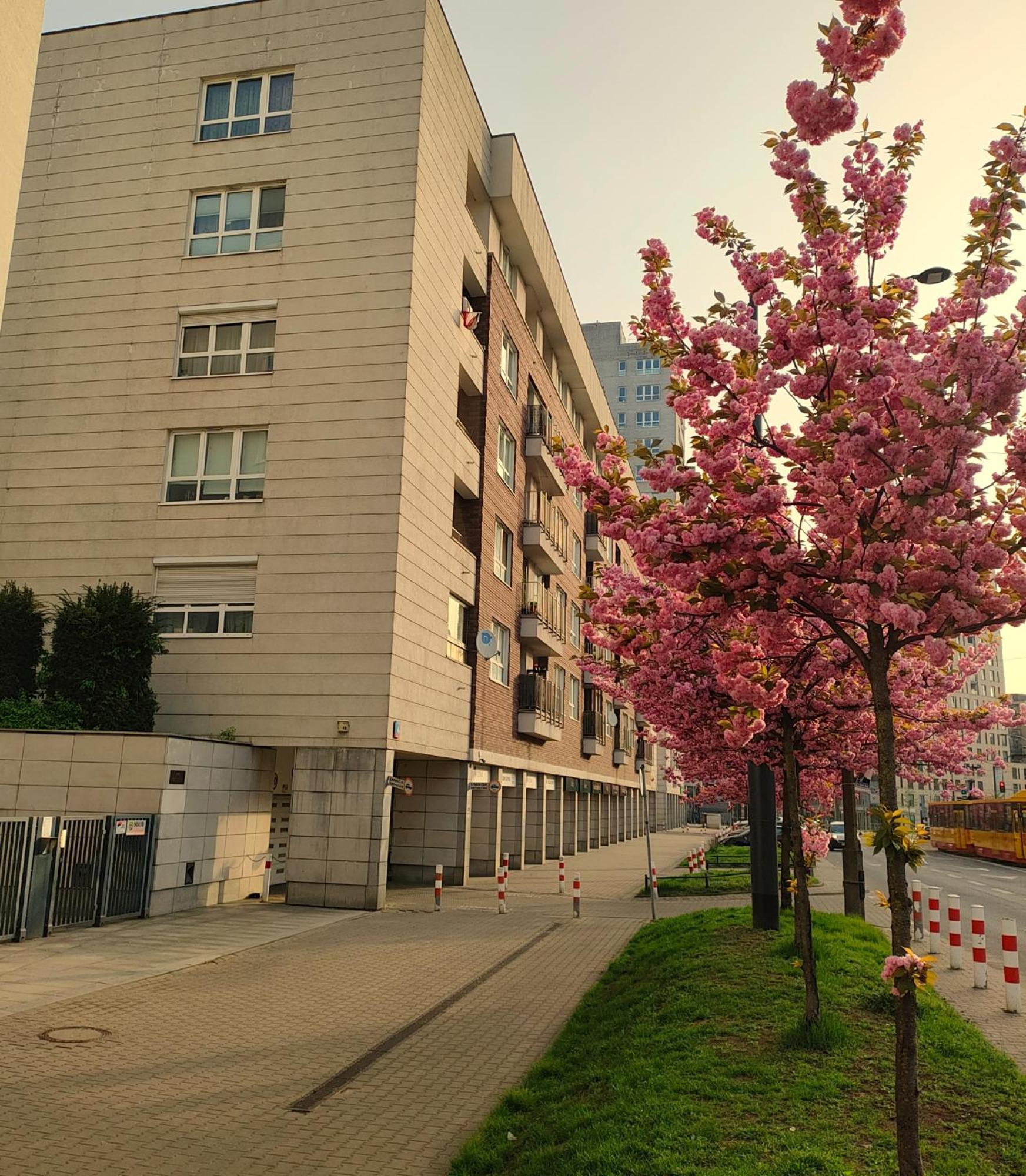 Totutotam Studio Warszawa Eksteriør billede